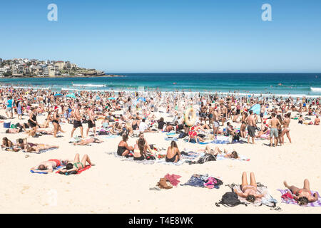 Bondi beach, Sydney, NSW, Australia Stock Photo