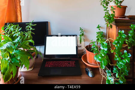 Home office area with laptop and green plants Stock Photo