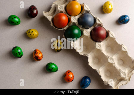 Many quail and chicken eggs colored for the Easter in an egg tray and out. Top view. Copy space. Christian easter concept Stock Photo