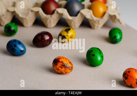 Many quail and chicken eggs colored for the Easter in an egg tray and out. Top view. Copy space. Christian easter concept Stock Photo