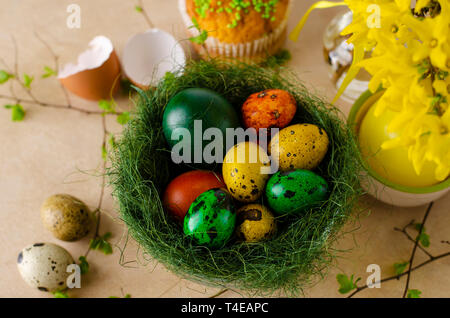 Green nest with many different colored quail easter eggs. flat lay. Top view. Easter concept. Stock Photo