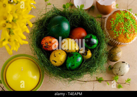 Green nest with many different colored quail easter eggs and muffin with sprinkles on the top. flat lay. Top view. Easter concept. Stock Photo