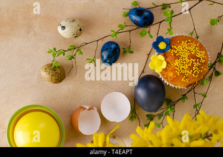 Muffins decorated with sprinkles, yellow flowers of mastic and blue easter quail eggs on pastel blue background. Top view. Easter Holidays and greetin Stock Photo