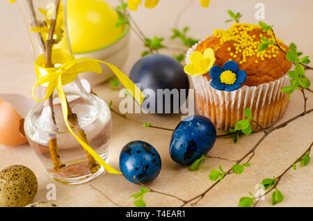 Muffins decorated with sprinkles, yellow flowers of mastic and blue easter quail eggs on pastel blue background. Top view. Easter Holidays and greetin Stock Photo