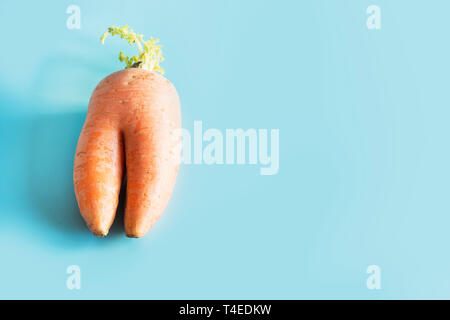 Ugly one organic carrot on pastel blue. Space for text. Concept organic natural vegetables. Stock Photo