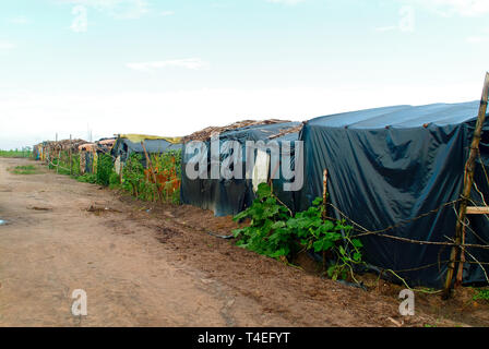 Bahia, Brazil: MST camp of the landless Stock Photo