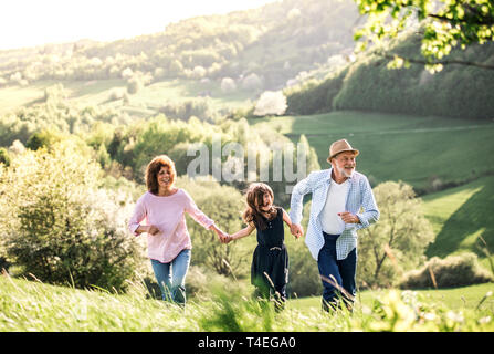 Senior couple with granddaughter walking outside in spring nature. Copy space. Stock Photo