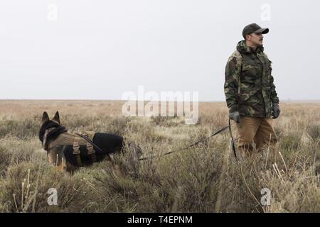 U.S. Air Force Staff Sgt. Antonio Padilla, 366th Security Forces Squadron military working dog trainer, and Alf, 366th SFS military working dog, act as opposition forces and hunt down “crashed” pilots during a combat search and rescue exercise April 2, 2019 at Saylor Creek Range near Mountain Home Air Force Base, Idaho. This is one aspect of the Gunfighter Flag exercise that tests the abilities of pilots to stay hidden until rescue arrives while military working dog trainers and their dogs hone their tracking ability in an expansive environment. Stock Photo