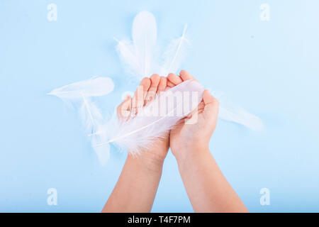 White feathers in children's hands on a blue background. Symbolic photo in light shades. Copy space Stock Photo