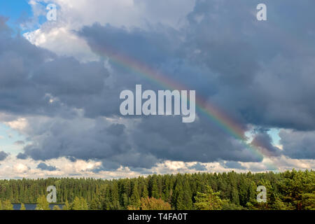 Sky rainbow forest. Sky rainbow forest on white background. Rainbow sky landscape. Rainbow background. Rainbow sunset. Beautiful blue rainbow sky. Stock Photo