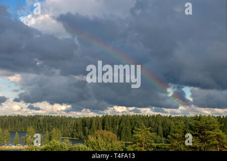 Sky rainbow forest. Sky rainbow forest on white background. Rainbow sky landscape. Rainbow background. Rainbow sunset. Beautiful blue rainbow sky. Stock Photo