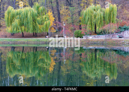 A metal gazebo stands between beautiful green weeping willows on the shore of a pond in an autumn park Stock Photo