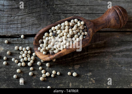 White pepper in wooden spoon Stock Photo