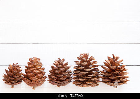 Pine cones on white wooden background Stock Photo