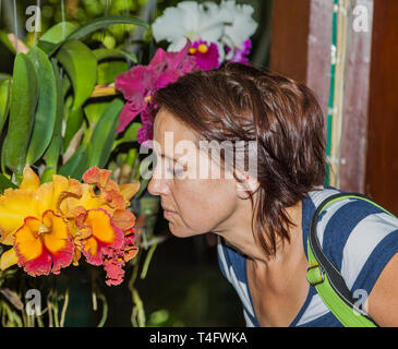 A woman smelling an orchid in an orchid farm Stock Photo