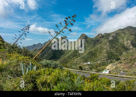 Stunning mountain views down the picturesque valley on the TF-12 road, Tenerife, Spain Stock Photo