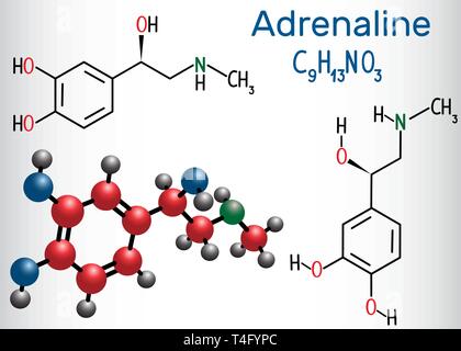 Adrenaline (epinephrine) molecule .  It is a hormone, neurotransmitter, and medication. Structural chemical formula and molecule model. Vector illustr Stock Vector