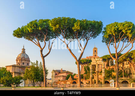 view on Roman Forum in Rome, Italy. Roma landmark and antique architecture at sunrise