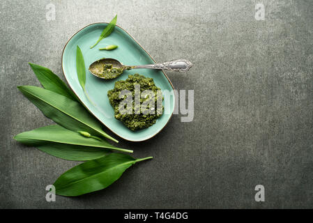 Fresh ramson or wild garlic ingredients for pesto- Image. Healthy spring food concept Stock Photo