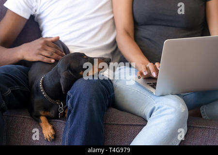 Close up African American couple using laptop, sitting with dog Stock Photo