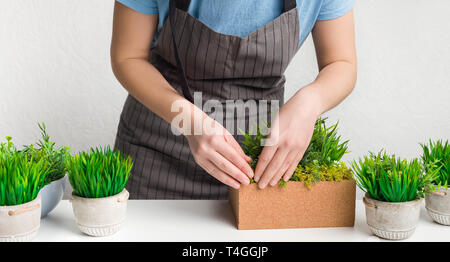 Woman in apron transplanting grassy plants, taking care Stock Photo