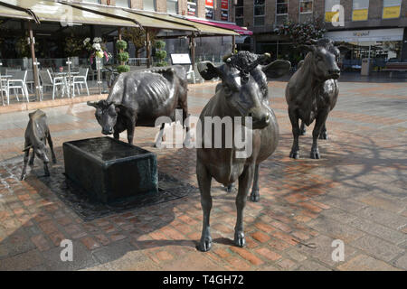 The bronze sculpture of a group of Jersey cattle by John McEnna in West's Centre St Helier,Jersey. Stock Photo