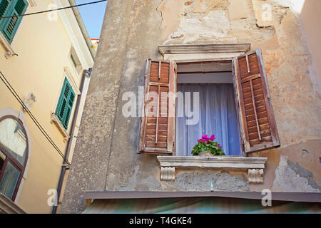 Flower pot on windowsill in window with wooden shutters Stock Photo