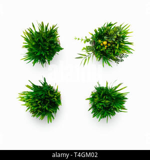 Artificial grassy plants in pots isolated on white Stock Photo