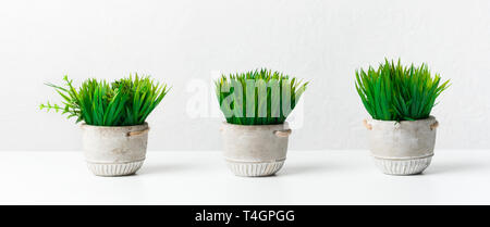 Collection of artificial grassy plants in light pots against wall Stock Photo