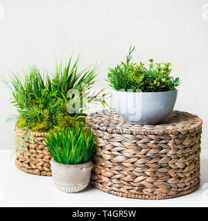 Artificial grassy plants in pots on wicker boxes over light wall, crop Stock Photo