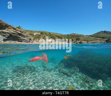 Spain Mediterranean coast with jellyfish underwater, Roses, Costa Brava, Catalonia, split view half over and under water