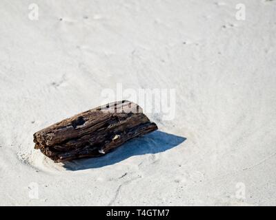 Location - Date  -  Wood in the White Sand on a Beach Stock Photo