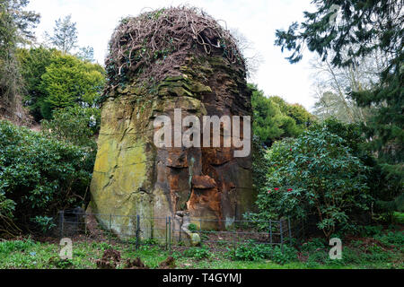 The quarry garden at Belsay Hall, an early 19th Century mansion house, in Northumberland, England, UK Stock Photo