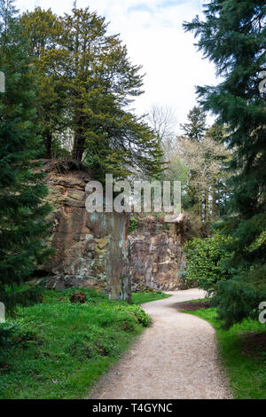 The quarry garden at Belsay Hall, an early 19th Century mansion house, in Northumberland, England, UK Stock Photo