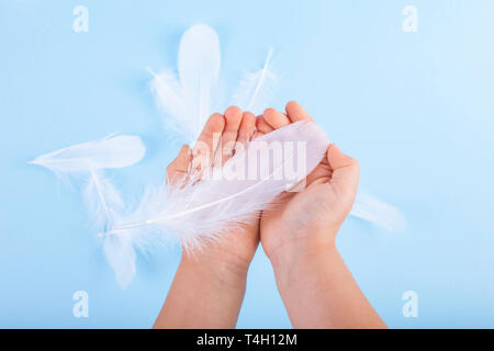White feathers in children's hands on a blue background. Symbolic photo in light shades. Copy space Stock Photo