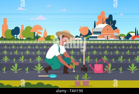 male farmer planting young seedlings plants vegetables african american man working in garden agricultural worker eco farming concept farmland field Stock Vector