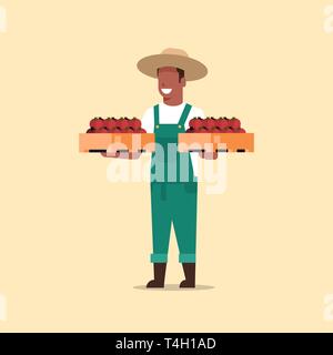 male farmer holding boxes with red ripe tomatoes african american man harvesting vegetables agricultural worker eco farming concept flat full length Stock Vector