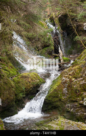 forest waterfalll, in early spring, Wutachschlucht Gorge, Black Forest, Germany Stock Photo