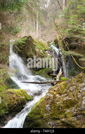 forest waterfalll, in early spring, Wutachschlucht Gorge, Black Forest, Germany Stock Photo