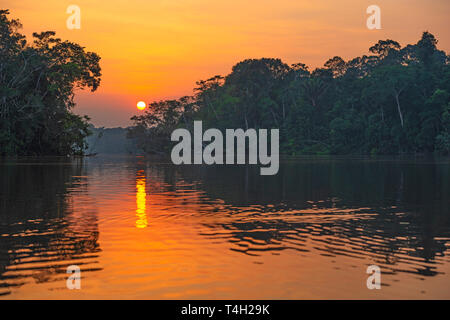 Sunset Reflection in Yasuni national park. The Amazon river basin is found in Brazil, Bolivia, Colombia, Ecuador, Guyana, Suriname, Peru and Venezuela. Stock Photo