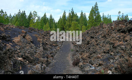 Volcanic path through the rough arid landscape of Chinyero Special Natural Reserve a lava territory with scarce vegetation in Tenerife, Canary Islands Stock Photo