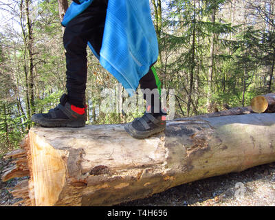 Boy child walking on tree trunks stimulates motor development and balance Stock Photo