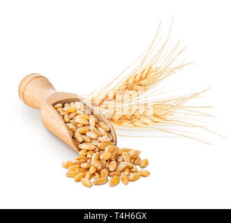 Wheat grains and ears isolated on white Stock Photo