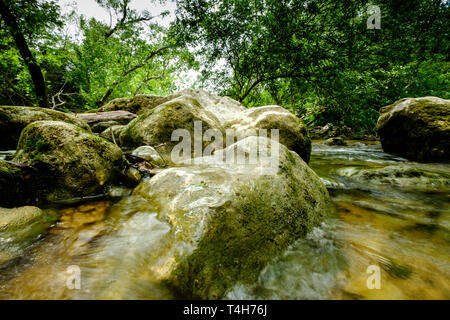 Barton Creek Greenbelt, near Austin, Texas Stock Photo