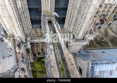 Paris, France - March 15, 2018: Aerial view of gargoyle in Notre Dame Cathedral Stock Photo