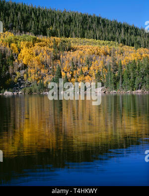 Subalpine lake in autumn, Colorado Stock Photo - Alamy