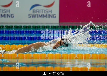 Aimee Willmott (University of Stirling) in action during the women's open 400 metres individual medley final, during Day 1 of the 2019 British Swimming Championships, at Tollcross International Swimming Centre. Stock Photo