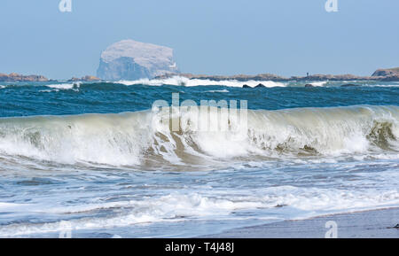 North Berwick, East Lothian, Scotland, United Kingdom, 17th April 2019. UK Weather: strong wind over the last few days creates a swell in the sea in the Forth of Forth with waves crashing along the shore at Milsey Bay. The haze reduces visibility but the Bass Rock can be seen white with nesting gannets, the largest Northern gannet colony Stock Photo