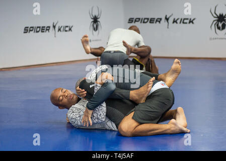 Rio De Janeiro, Brazil. 17th Apr, 2019. UFC® promotes a media day with former middleweight champion Anderson Silva at the Cesario Boxing School in Recreio dos Bandeirantes, Rio de Janeiro. Credit: Cristiane Mota/FotoArena/Alamy Live News Stock Photo