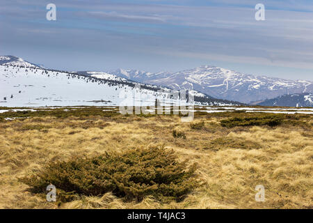 Distant, snow covered Midzor summit, highest peak on Old mountain, viewed from famous Kopren summit Stock Photo